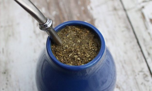 Z jakich właściwości słynie yerba mate?