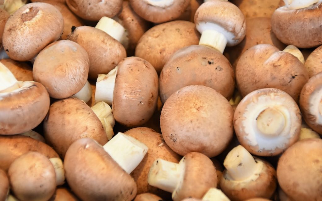 Pomysł na dania w roli głównej z podgrzybkami suszonymi